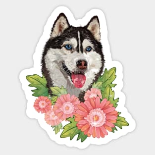 Husky Sticker